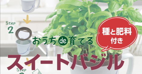 おうちde育てる ハーブ野菜シリーズ アシスト6 Home