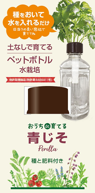 ハーブ野菜_ペットボトル_青じそ_伝農アシスト株式会社.jpg