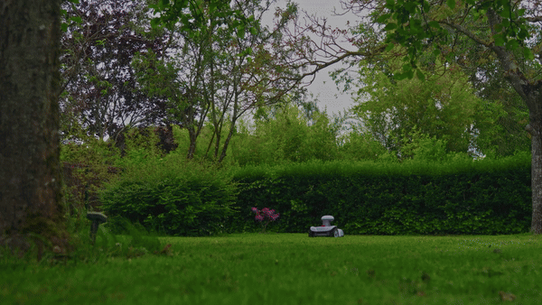 Rain Sensor compressed.gif
