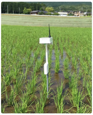 flow_rice06_ファーモ_伝農アシスト株式会社.png