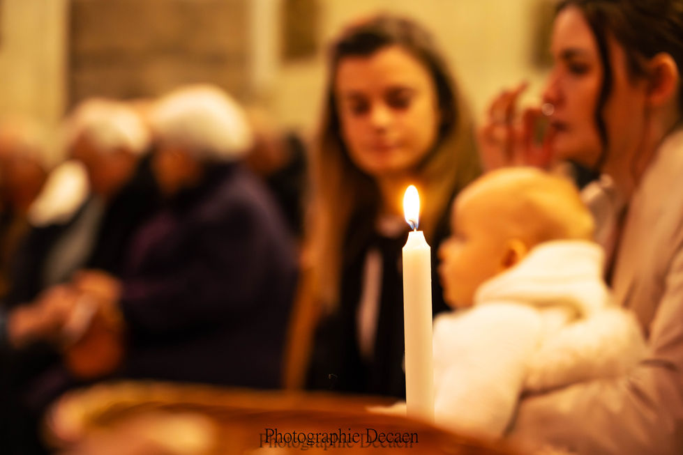 23012019-DSC07327-Avec accentuation-Bruit.jpg