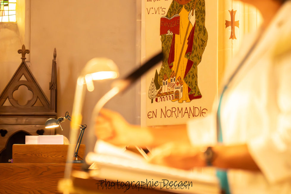 03042019-DSC05138-Avec accentuation-Bruit.jpg