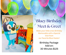 Bluey Birthday Meet & Greet (1).png