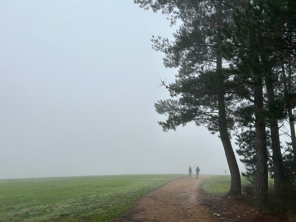 Camino de Santiago