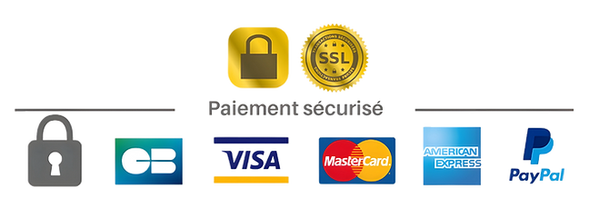 paiement sécurisé en ligne