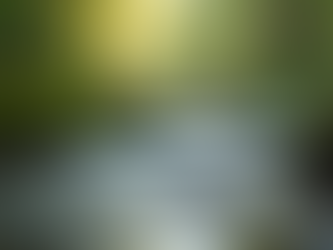 The Art of Mindful Living: Embracing the Present Moment