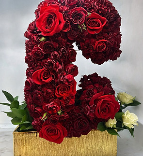 Facetune_05-08-2025-19-50-21.jpg