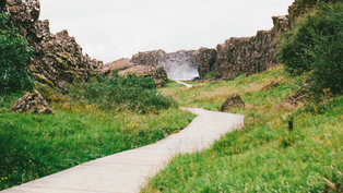 What’s Really On This Path To Results?