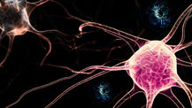 Magnets: The New Way to Control the Brain?