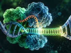 Cornell Scientists Build a Compact, Non-CRISPR Tool That Inserts Whole Stretches of DNA