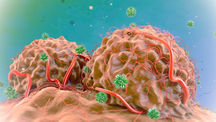 Light-Induced Gene Therapy Using Nanoparticles Targets and Destroys Cancer Cells' Mitochondria