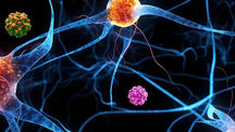Positive Phase 2 Results for Gene Therapy in Parkinson’s Disease