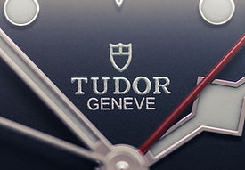 Tudor Categoria