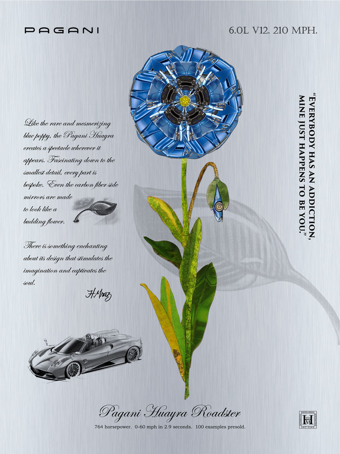 Mraz Everybody Has An Addiction Pagani Huayra Poppy.jpg