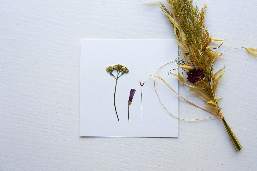 Miniature : "Bouquet PRAIRIE 1" herbier de 23 FLEURS