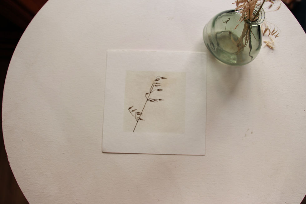 Miniature : Dessin original de Isabelle Collett, encre et aquarelle issue de son jardin tinctoriel en vente à ma galerie d'art de Bordeaux spécialisée dans le petit format Bokehli et sur www.bokehli.fr
