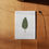 Thumbnail: "EUCALYPTUS" herbarium of 23 FLOWERS
