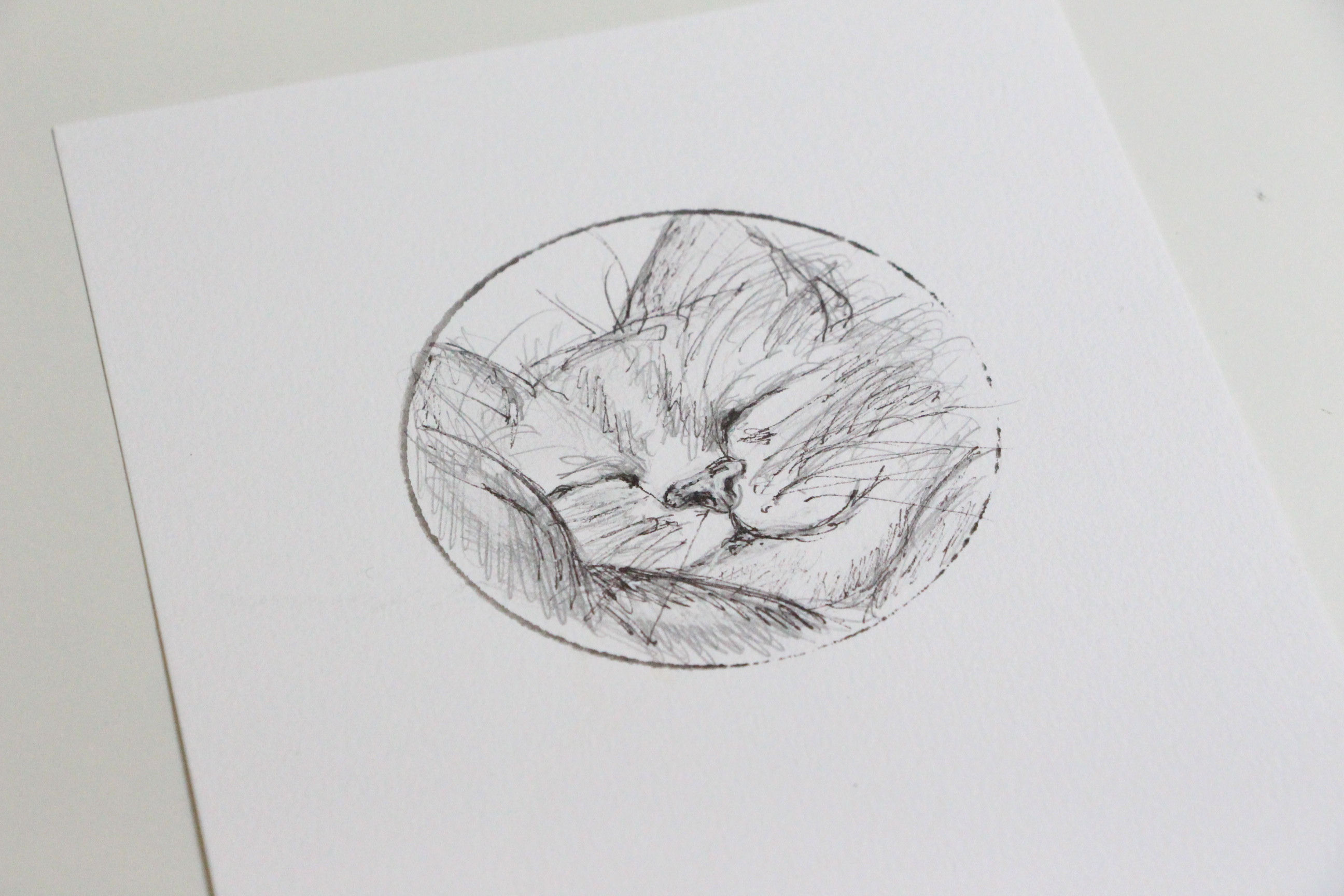 "Médaillon chat" Aquarelle originale de Laurence Préti