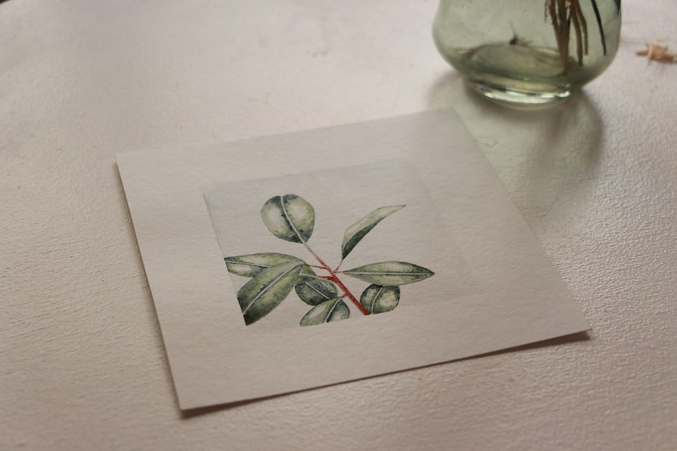 Dessin original de Isabelle Collett, encre et aquarelle issue de son jardin tinctoriel en vente à ma galerie d'art de Bordeaux spécialisée dans le petit format Bokehli et sur www.bokehli.fr