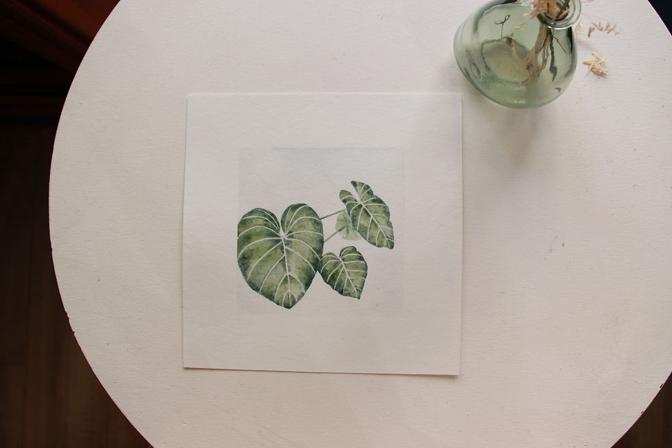 Dessin original de Isabelle Collett, encre et aquarelle issue de son jardin tinctoriel en vente à ma galerie d'art de Bordeaux spécialisée dans le petit format Bokehli et sur www.bokehli.fr