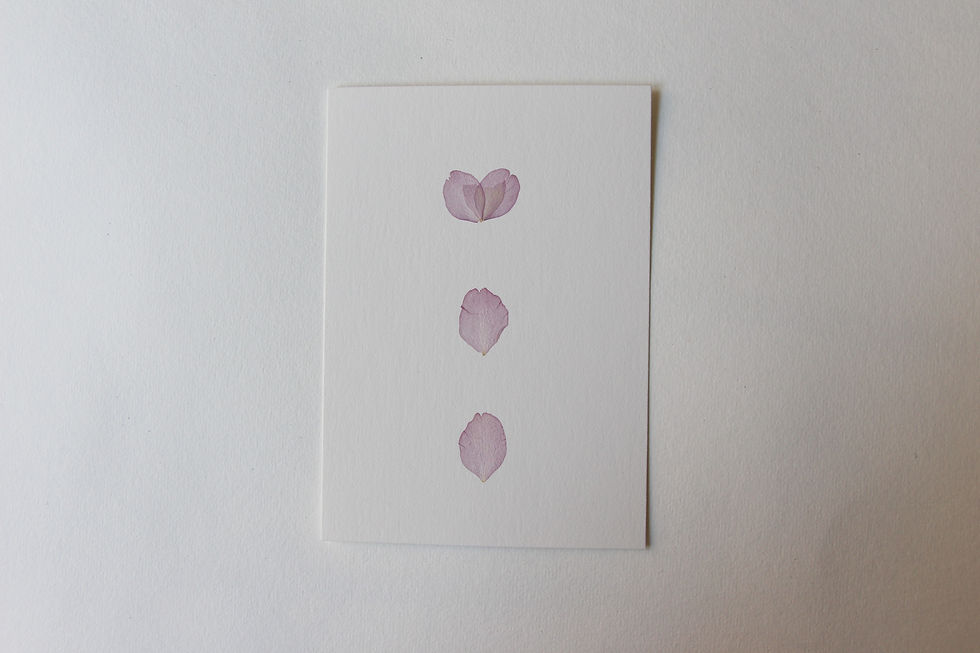 Miniature : "Cerisier japonais" herbier de 23 FLEURS