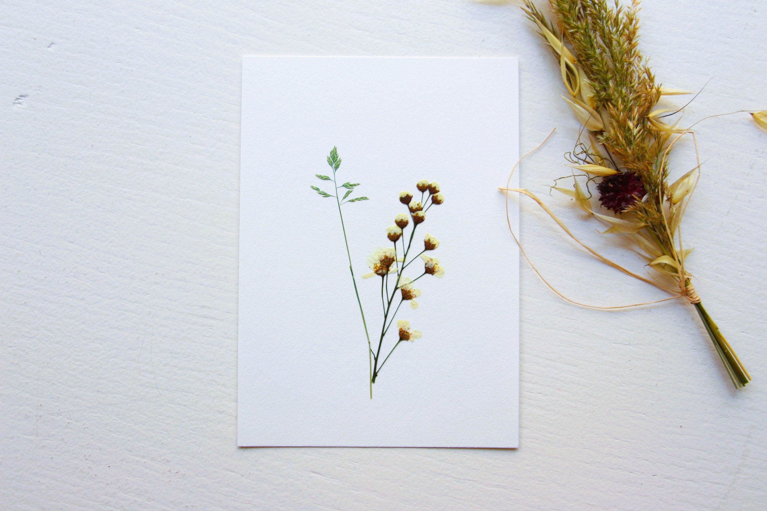 "Bouquet sous-bois" herbier de 23 FLEURS