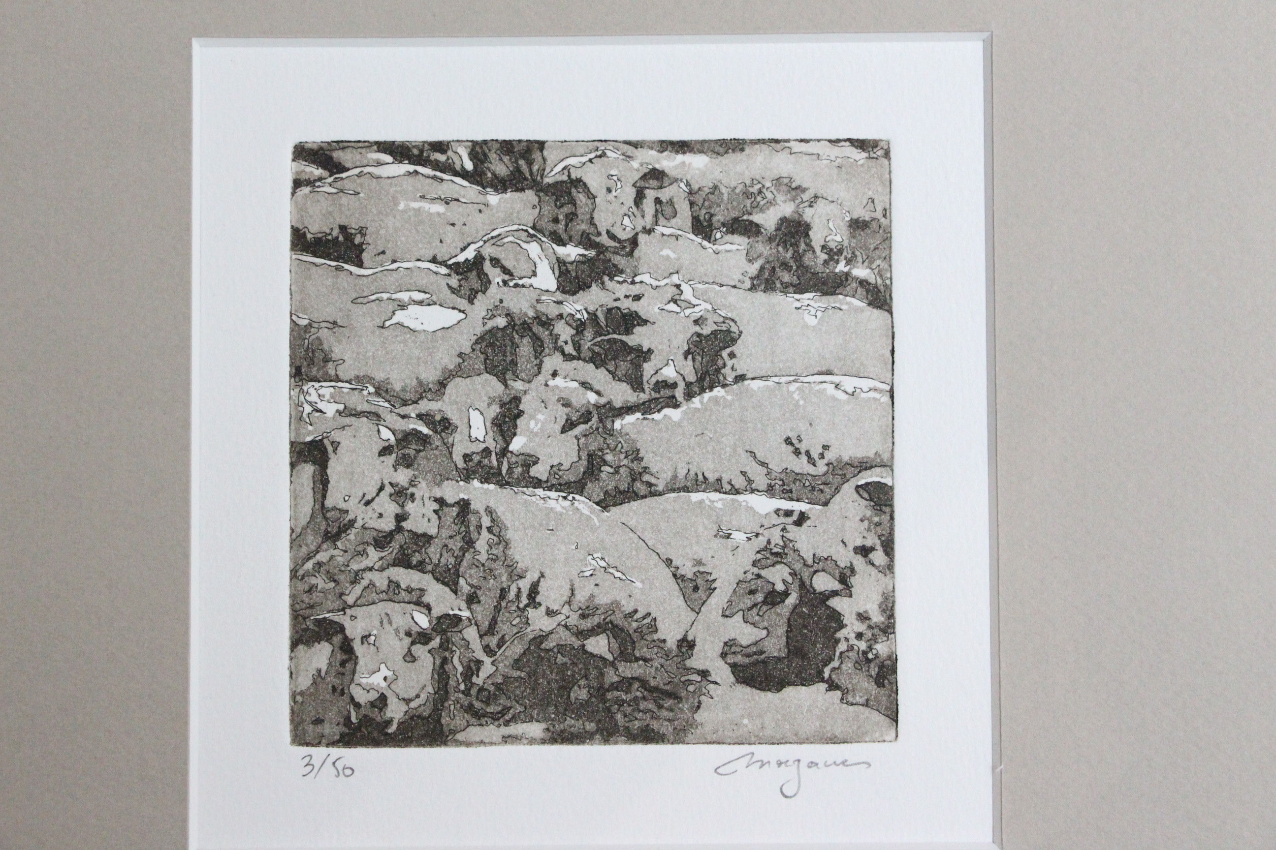 Moutons 3/50 gravure numérotée de MORGANES