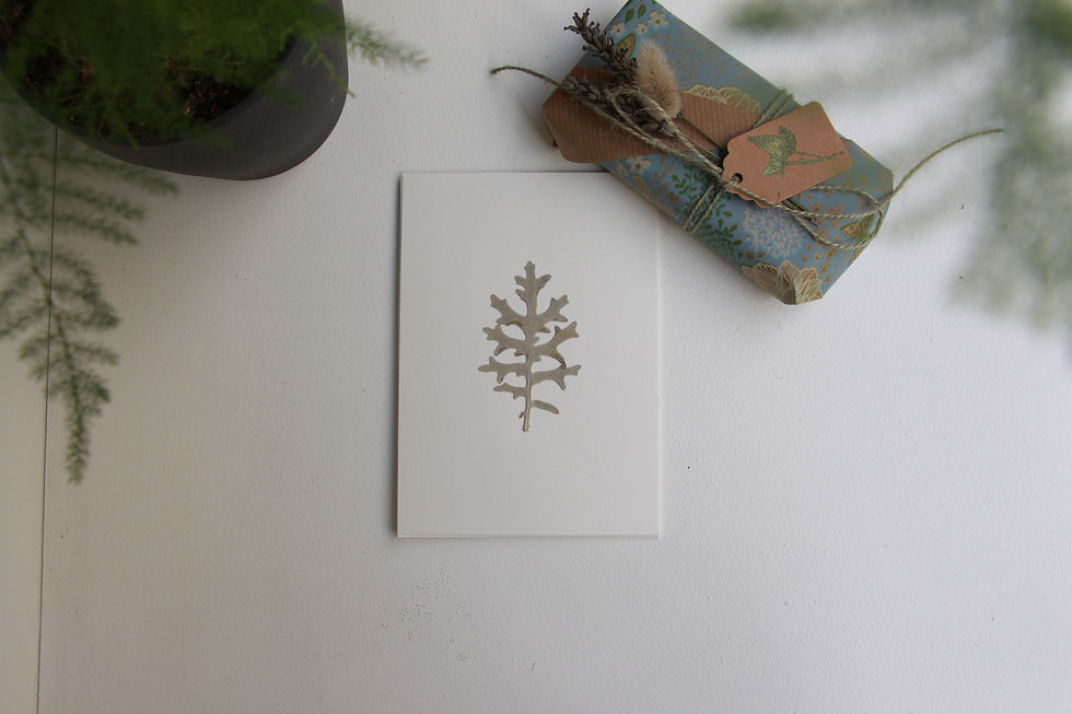 Miniature : "Cineraire" herbier de 23 FLEURS