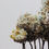 Thumbnail: "HARMONIE 5" Dessin original de Isabelle Collett