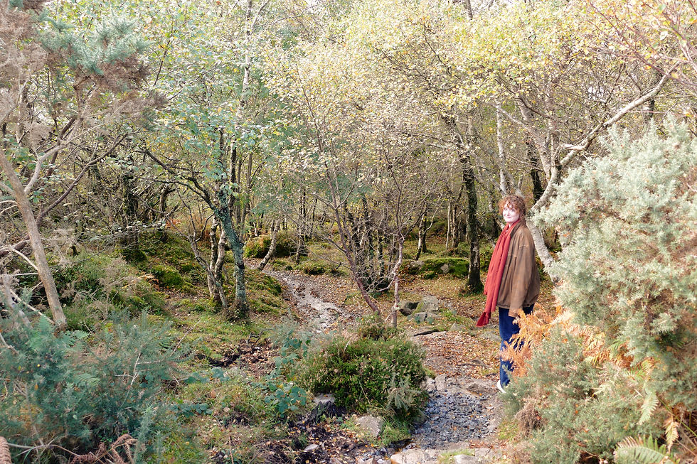 (c) Ella van der Naalt, Inverness