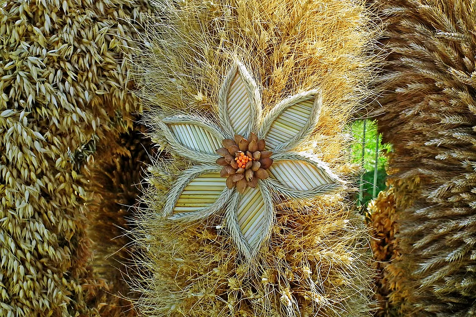 Ontdek de betekenis van Lammas (Lughnasadh), het eerste oogstfeest van het Keltisch jaarwiel. Lees over rituelen, symboliek en journalvragen.