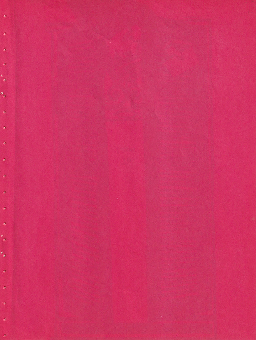 SEDONA_LEBLANC_background 1 copy.jpg