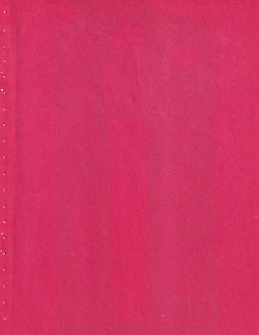 SEDONA_LEBLANC_background 1 copy.jpg