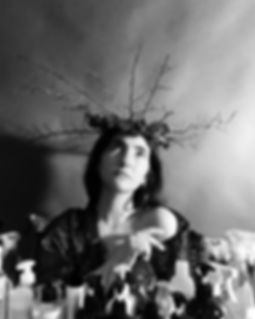 NINA_SHAPIRO_fullsizeoutput_2a76.jpeg