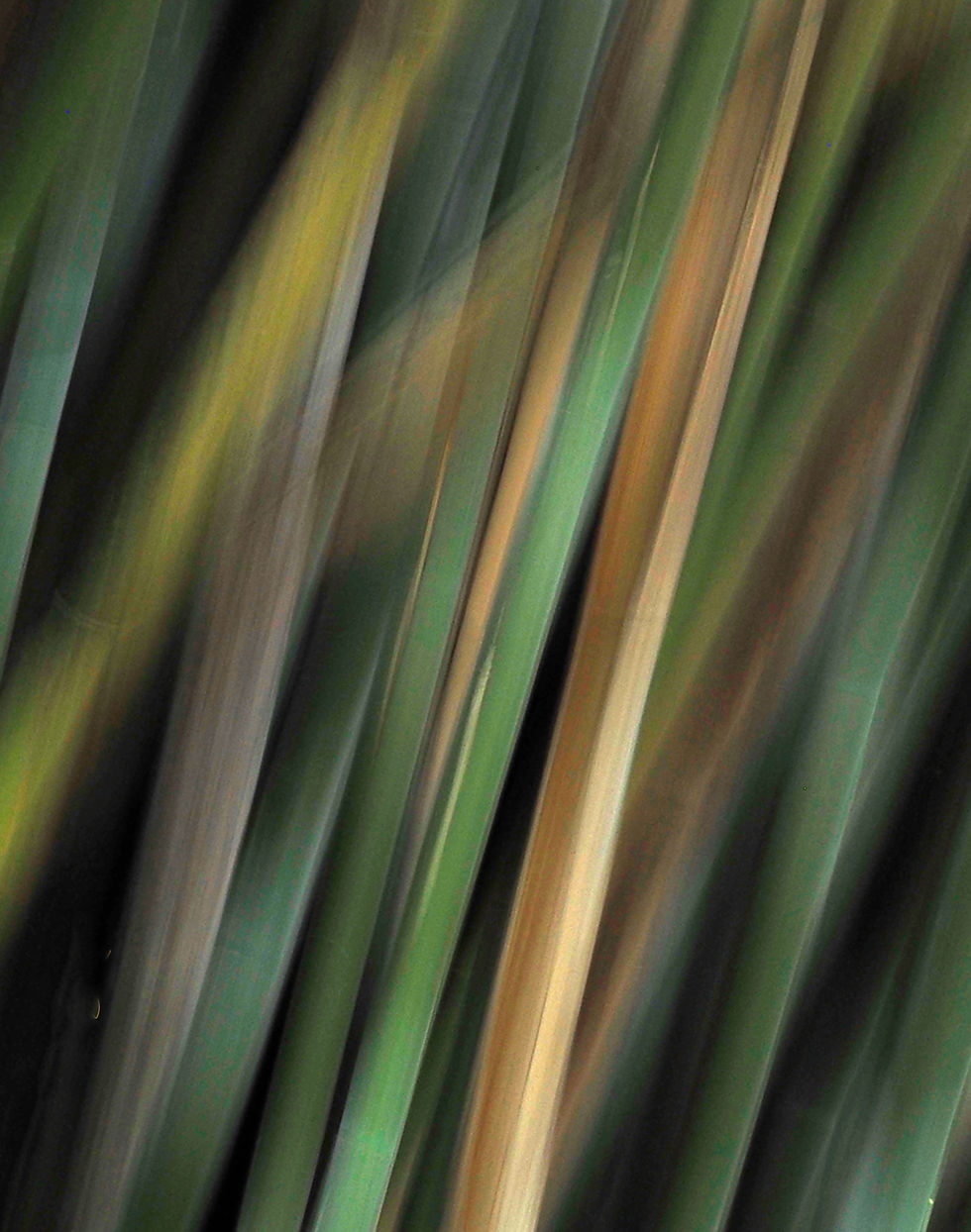 Thumbnail: Abstracts with Eileen Sklon