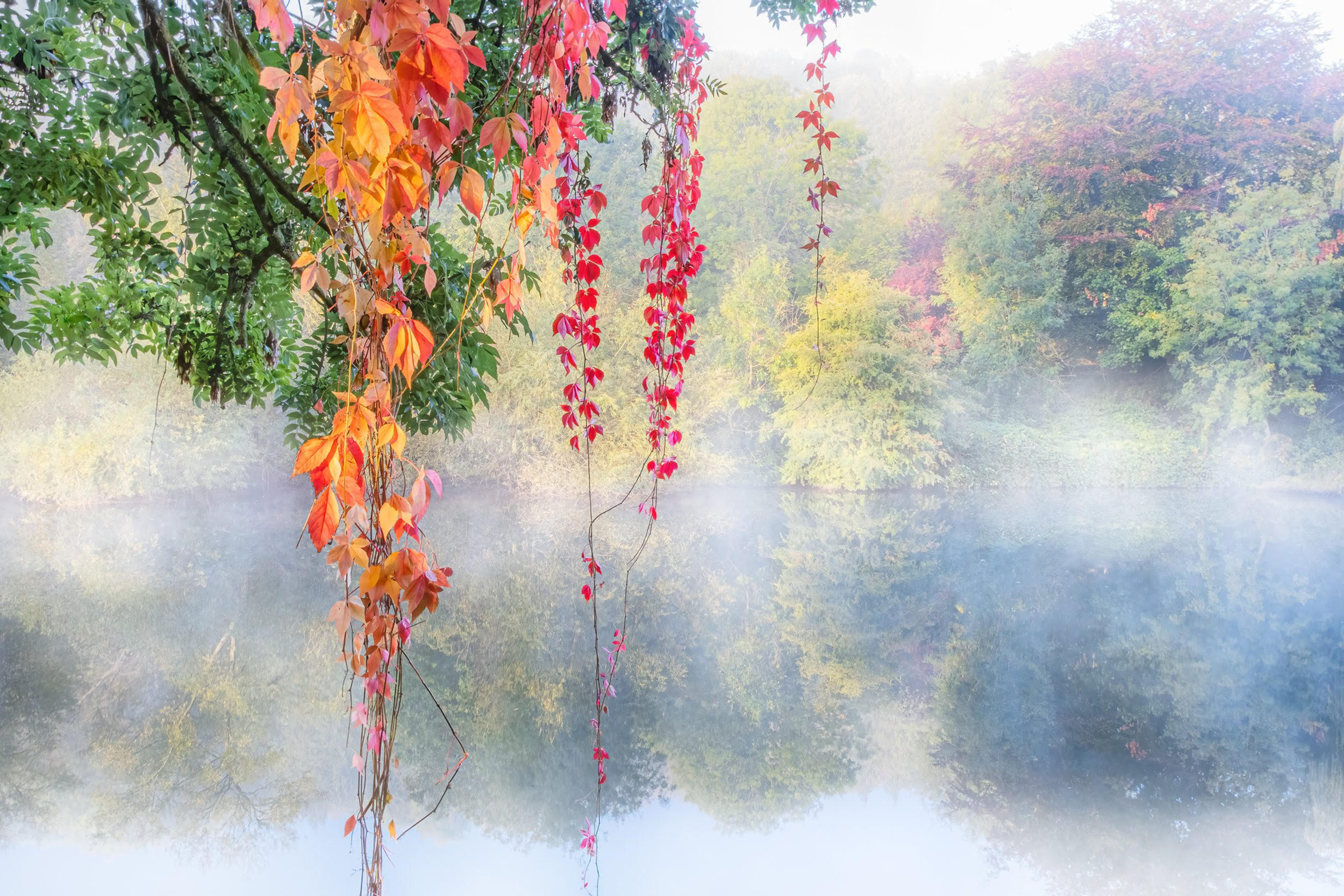 Working in Creative Projects - Vanda Ralevska