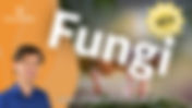 Fungi with Tony North [BRAND NEW!]