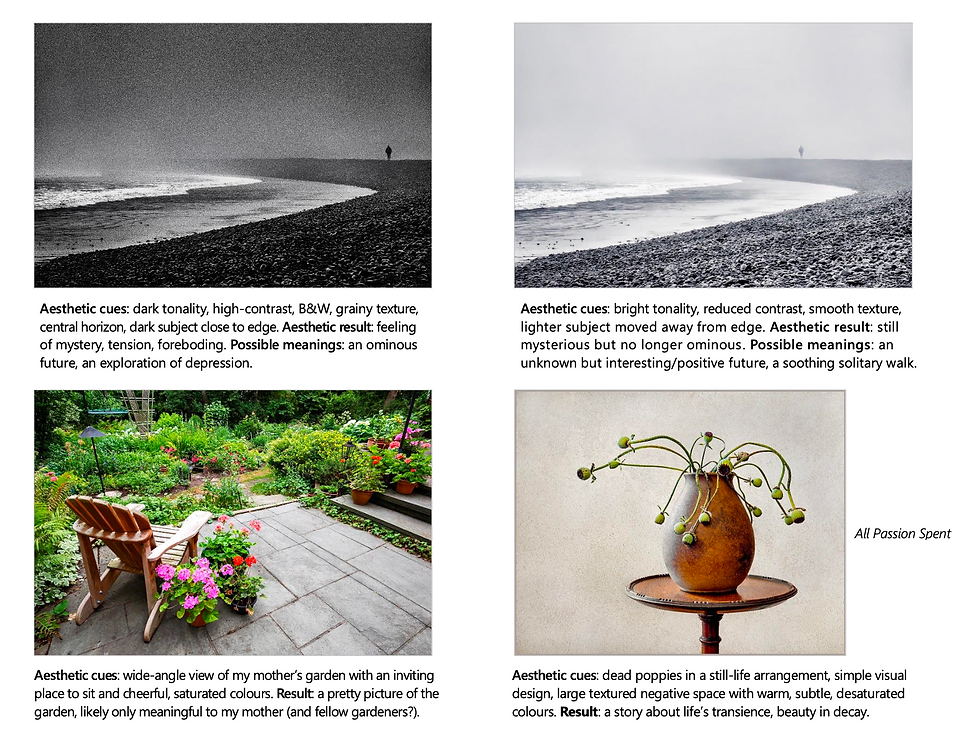 Thumbnail: HAND OUT: Making Meaningful Photographs Kas Stone