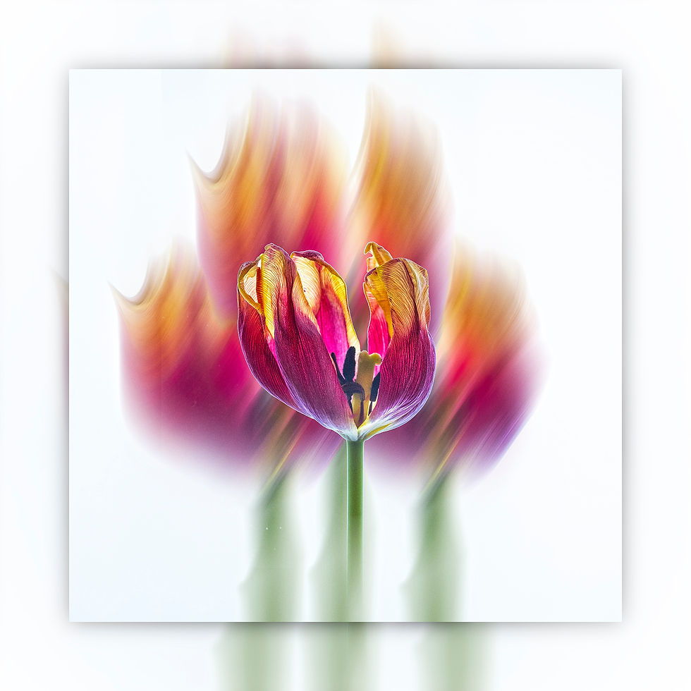 Thumbnail: Creative Plant and Flower Photography 2026