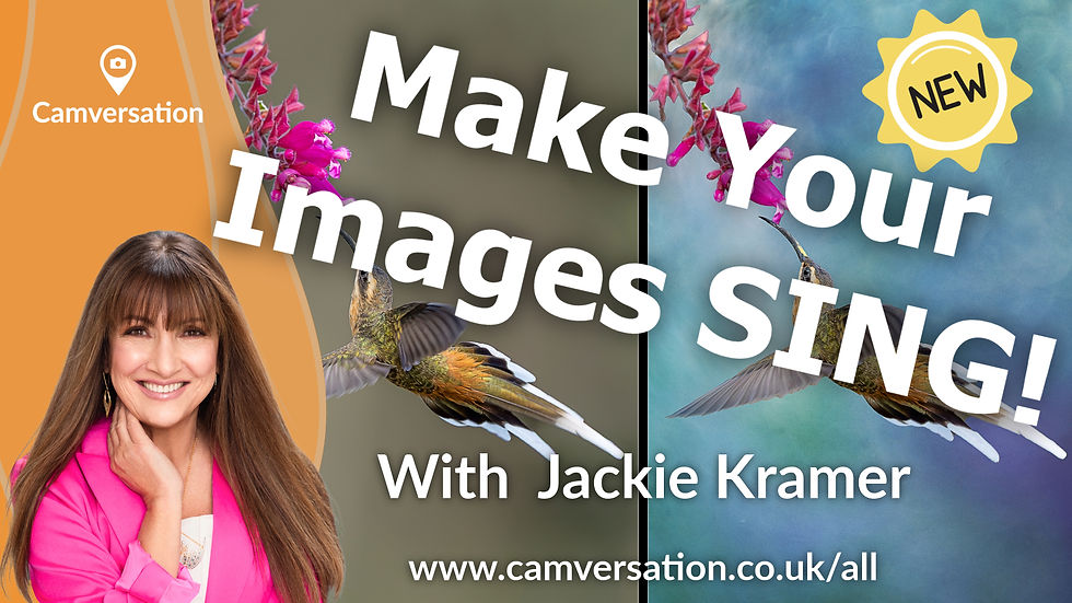 Make Your Images Sing - with Jackie Kramer [Series 1, 2026]