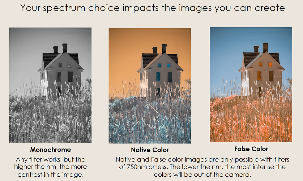 Thumbnail: SLIDES: Infrared Workshops with Shelley Vandegrift & Laurie Klein