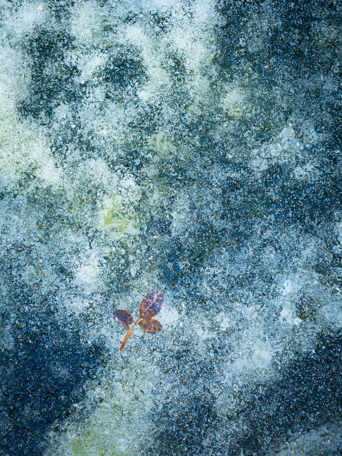 The Seeing Eye - Paul Mitchell