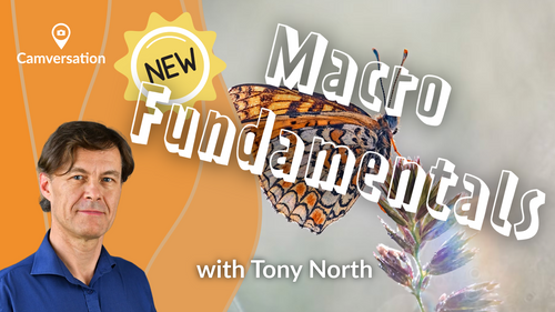 Macro Fundamentals withTony North | Camversation