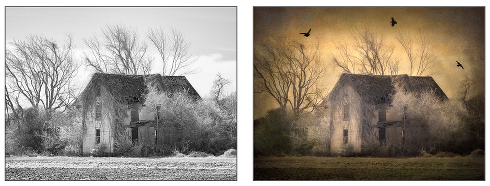 Thumbnail: GUIDE 2: Taking Creative Post Processing to the Next Lvl - Shelley Vandegrift