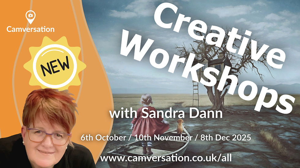 Creative Workshops Sandra Dann [Series 1, 2025]