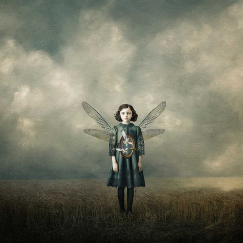 Conceptual Story Telling with Sandra Dann | Camversation