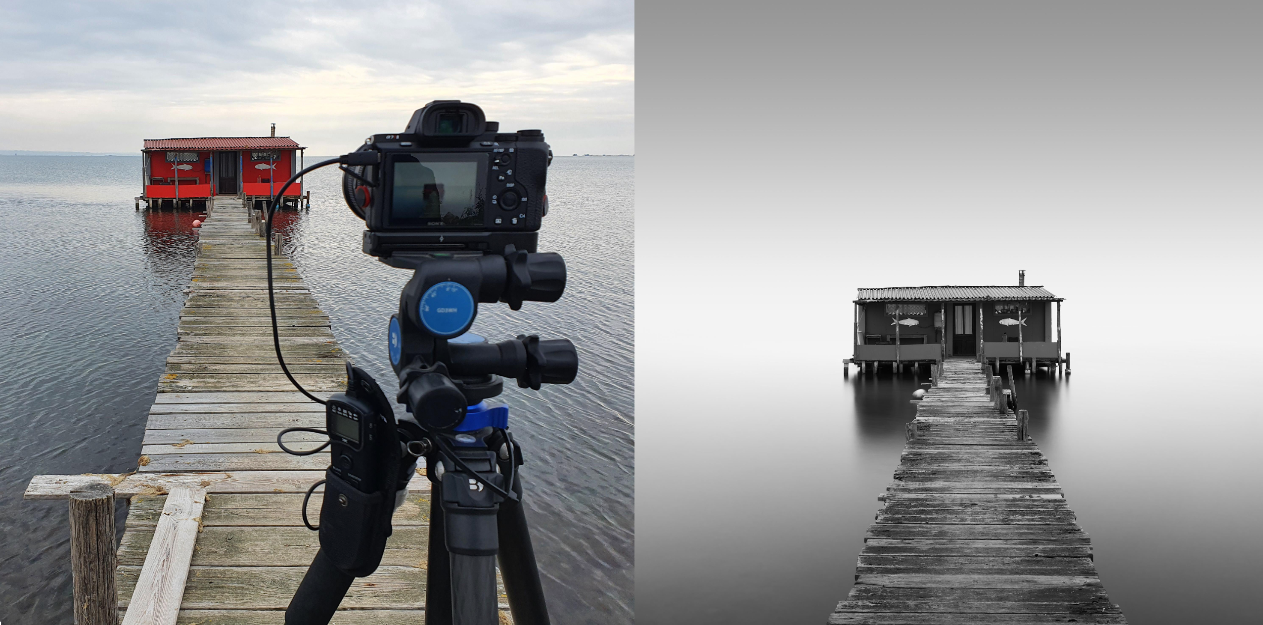 Diversions on Reality