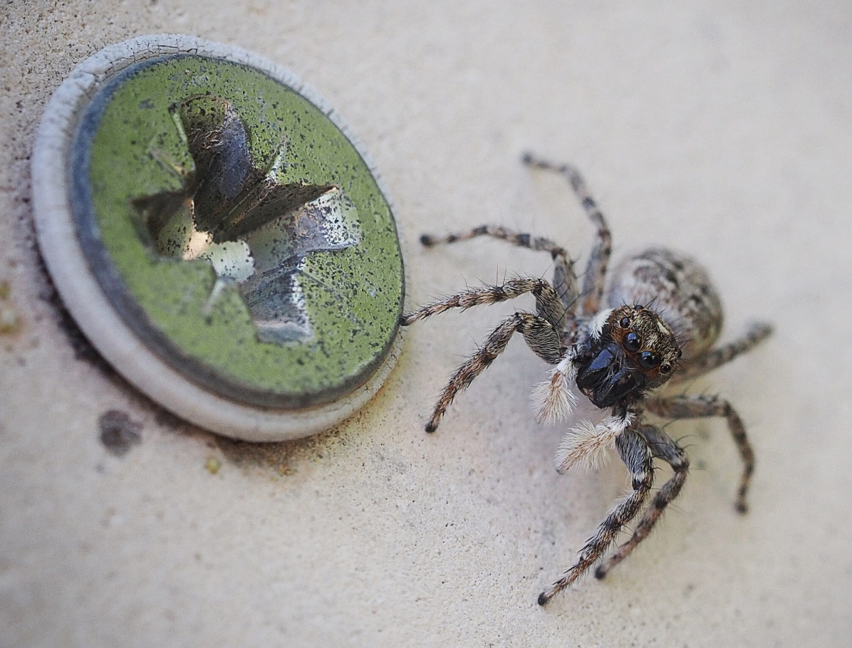 Small and Macro - Derek Gale