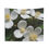 Thumbnail: Indoor Wall Tapestries