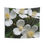 Thumbnail: Indoor Wall Tapestries